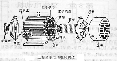 三相异步电动机的定子构成:由机座和装在机座内的圆筒形铁心以及其中